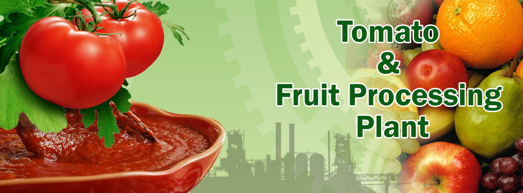 tomato fruits processing plant